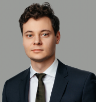 Владислав Куликов